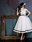 Χαμηλού Κόστους Κοκτέιλ Φορέματα-Βραδινή τουαλέτα Μαύρο γκαλά Φόρεμα Λαιμόκοψη V Κάτω από το γόνατο Spandex Δαντέλα με Δαντέλα Ζώνη / Κορδέλα Βολάν 2020