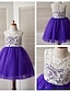 cheap Flower Girl Dresses-A-Line Knee Length Flower Girl Dress Pageant &amp; Performance Cute Prom Dress Lace with Lace Fit 3-16 Years