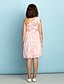 Χαμηλού Κόστους Φορέματα για παρανυφάκια-Γραμμή Α Ένας Ώμος Μέχρι το γόνατο Δαντέλα Φόρεμα Νεαρών Παρανύμφων με Δαντέλα / Φυσικό / Mini Me