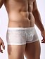 abordables Ropa interior y calcetines de hombre-Men&#039;s 1 Piece Lace Boxer Briefs Solid Colored White Black Khaki M L XL