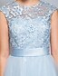 cheap Prom Dresses-A-Line Fit &amp; Flare Beautiful Back Cocktail Party Prom Dress Illusion Neck Short Sleeve Knee Length Lace Tulle with Lace