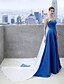 cheap Evening Dresses-A-Line Celebrity Style Formal Evening Dress Sweetheart Neckline Sleeveless Chapel Train Satin with Pleats 2020