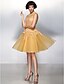 Χαμηλού Κόστους Φορέματα ειδικών περιστάσεων-Γραμμή Α Με Κόσμημα Μέχρι το γόνατο Δαντέλα / Τούλι Κοκτέιλ Πάρτι / Χοροεσπερίδα Φόρεμα με Δαντέλα με TS Couture®