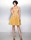 Χαμηλού Κόστους Φορέματα ειδικών περιστάσεων-Γραμμή Α Με Κόσμημα Μέχρι το γόνατο Δαντέλα / Τούλι Κοκτέιλ Πάρτι / Χοροεσπερίδα Φόρεμα με Δαντέλα με TS Couture®