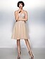 cheap Special Occasion Dresses-A-Line Fit &amp; Flare Holiday Cocktail Party Prom Dress Illusion Neck Sleeveless Knee Length Tulle with Appliques