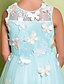 Χαμηλού Κόστους Λουλουδάτα φορέματα για κορίτσια-Γραμμή Α Μακρύ Φόρεμα για Κοριτσάκι Λουλουδιών - Δαντέλα Αμάνικο Λαιμόκοψη V με Φιόγκος(οι) Δαντέλα Χιαστί με LAN TING BRIDE®