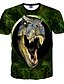 cheap Men&#039;s Tees &amp; Tank Tops-Men&#039;s Daily Sports T-shirt - Animal Dragon, Print Green / Short Sleeve