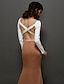 Χαμηλού Κόστους Φορέματα ειδικών περιστάσεων-Τρομπέτα / Γοργόνα Μπλοκ χρωμάτων Μινιμαλιστική Χοροεσπερίδα Επίσημο Βραδινό Φόρεμα Βυθίζοντας το λαιμό Μακρυμάνικο Ουρά Σιφόν με Χιαστί Χάντρες 2020