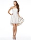 Χαμηλού Κόστους Φορέματα ειδικών περιστάσεων-Γραμμή Α / Εφαρμοστό &amp; Εμβαζέ Στράπλες Ασύμμετρο Δαντέλα Φόρεμα με Δαντέλα με TS Couture®