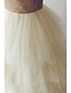 billige Fest kjoler-A-linje Gennemsigtig Kjole Skolebal Gulvlang Uden ærmer Illusion hals Tyl med Draperet 2023