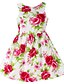 abordables Ropa de Niña-Girls &#039; Sin Mangas Floral Gráfico impreso en 3D Vestidos Floral Algodón Vestido Verano Primavera