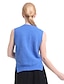 cheap Women&#039;s Sweaters-Women&#039;s Sleeveless Vest - Solid Colored