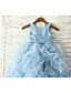 Χαμηλού Κόστους Λουλουδάτα φορέματα για κορίτσια-Πριγκίπισσα Μακρύ Φόρεμα για Κοριτσάκι Λουλουδιών Πομπή Χαριτωμένο φόρεμα χορού Οργάντζα με Ζώνη / Κορδέλα Κατάλληλο 3-16 ετών