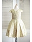 Χαμηλού Κόστους Cufflinks-Γραμμή Α Μέχρι το γόνατο Φόρεμα για Κοριτσάκι Λουλουδιών - Με πούλιες Κοντομάνικο Με Κόσμημα με Πούλιες με LAN TING BRIDE®