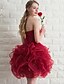 Χαμηλού Κόστους Φορέματα Παρανύμφων-Βραδινή τουαλέτα Καρδιά Κοντό / Μίνι Οργάντζα Φόρεμα Παρανύμφων με Με διαδοχικές σούρες