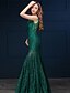 Χαμηλού Κόστους Βραδινά Φορέματα-Τρομπέτα / Γοργόνα Επίσημο Βραδινό Φόρεμα Scoop Neck Αμάνικο Μακρύ Δαντέλα με Λεπτομέρεια με πέρλα 2020