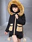 abordables Vestes et manteaux pour filles-Rembourré Coton manche longue Habillement Polyester Graphique imprimé en 3D