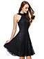 Χαμηλού Κόστους Βραδινά Φορέματα-Βραδινή τουαλέτα Μικρό Μαύρο Φόρεμα Φόρεμα Καλωσόρισμα Μέχρι το γόνατο Αμάνικο Λαιμός ψευδαίσθησης Όλο δαντέλα με Δαντέλα 2023