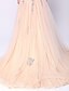 cheap Special Occasion Dresses-Fit &amp; Flare Sparkle &amp; Shine Dress Prom Formal Evening Court Train Sleeveless Plunging Neck Tulle with Beading 2024