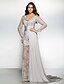 cheap Evening Dresses-Sheath / Column Dress Formal Evening Watteau Train Long Sleeve V Neck Chiffon with Lace