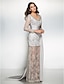 cheap Evening Dresses-Sheath / Column Dress Formal Evening Watteau Train Long Sleeve V Neck Chiffon with Lace