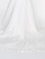 olcso Menyasszonyi ruhák-Sellő fazon Esküvői ruhák V-alakú Udvari uszály Tüll Mindenhol csipke Háromnegyedes Romantikus Átlátszó Illúzió részletek val vel Csipke Rátétek 2020