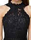 cheap Evening Dresses-Ball Gown Little Black Dress Dress Homecoming Knee Length Sleeveless Illusion Neck All Over Lace with Lace 2023