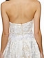cheap Special Occasion Dresses-A-Line / Fit &amp; Flare Strapless Asymmetrical Lace Dress with Lace by TS Couture®