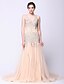 cheap Special Occasion Dresses-Fit &amp; Flare Sparkle &amp; Shine Dress Prom Formal Evening Court Train Sleeveless Plunging Neck Tulle with Beading 2024