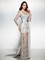 cheap Evening Dresses-Sheath / Column Dress Formal Evening Watteau Train Long Sleeve V Neck Chiffon with Lace