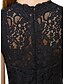 cheap Evening Dresses-Ball Gown Little Black Dress Dress Homecoming Knee Length Sleeveless Illusion Neck All Over Lace with Lace 2023