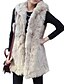 cheap Women&#039;s Fur &amp; Faux Fur Coats-Women&#039;s Going out Fur Coat,Solid Sleeveless Winter Faux Fur