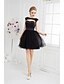 cheap Special Occasion Dresses-Ball Gown Scoop Neck Short / Mini Tulle Dress with Beading by TS Couture®