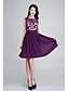 cheap Cocktail Dresses-Ball Gown Fit &amp; Flare Homecoming Cocktail Party Dress Scoop Neck Sleeveless Short / Mini Chiffon with Beading Appliques 2020