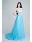 cheap Special Occasion Dresses-A-Line Scoop Neck Sweep / Brush Train Tulle Open Back Formal Evening Dress with Beading / Appliques by TS Couture®