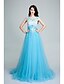 cheap Special Occasion Dresses-A-Line Scoop Neck Sweep / Brush Train Tulle Open Back Formal Evening Dress with Beading / Appliques by TS Couture®