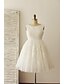 cheap Wedding Dresses-Wedding Dresses Knee Length A-Line Sleeveless Scoop Neck Lace With Appliques 2023 Bridal Gowns