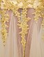 cheap Prom Dresses-Fit &amp; Flare Prom Formal Evening Dress Strapless Sleeveless Floor Length Lace Tulle with Lace Appliques