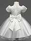 זול שמלות-בנות &#039; שרוולים קצרים גרפיקה מודפסת תלת מימדית שמלות תחרה פוליאסטר שמלה קיץ פעוטות