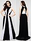 Χαμηλού Κόστους Φορέματα ειδικών περιστάσεων-Ίσια Γραμμή Με Κόσμημα Μακρύ Σιφόν Φόρεμα με Πλισέ με TS Couture®