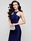 cheap Special Occasion Dresses-Sheath / Column Prom Formal Evening Dress Jewel Neck Sleeveless Floor Length Charmeuse with Pleats