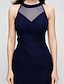 Χαμηλού Κόστους Φορέματα ειδικών περιστάσεων-Ίσια Γραμμή Με Κόσμημα Μακρύ Σιφόν Φόρεμα με Με Άνοιγμα Μπροστά / Πλισέ με TS Couture®