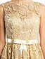 Χαμηλού Κόστους Φορέματα Χορού Αποφοίτησης-Γραμμή Α Εφαρμοστό &amp; Εμβαζέ Καλωσόρισμα Κοκτέιλ Πάρτι Χοροεσπερίδα Φόρεμα Illusion Seckline Αμάνικο Κοντό / Μίνι Δαντέλα με Δαντέλα 2020