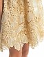Χαμηλού Κόστους Φορέματα Χορού Αποφοίτησης-Γραμμή Α Εφαρμοστό &amp; Εμβαζέ Καλωσόρισμα Κοκτέιλ Πάρτι Χοροεσπερίδα Φόρεμα Illusion Seckline Αμάνικο Κοντό / Μίνι Δαντέλα με Δαντέλα 2020