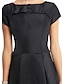 זול שמלות קוקטייל-שמלה שחורה בקו וינטג&#039; שיבה הביתה אורחים חתונת תה באורך צווארון סירה עם שרוולים קצרים טפטה עם כפתורים 2024