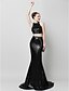 cheap Prom Dresses-Two Piece Mermaid / Trumpet Celebrity Style Two Piece Prom Formal Evening Dress Jewel Neck Sleeveless Court Train Sequined with Sequin
