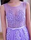 cheap Prom Dresses-A-Line Elegant Dress Prom Formal Evening Floor Length Sleeveless Illusion Neck Lace with Lace 2024