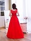 cheap Prom Dresses-A-Line Elegant Dress Prom Formal Evening Floor Length Sleeveless Illusion Neck Lace with Lace 2024