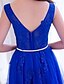 cheap Prom Dresses-A-Line Dress Prom Formal Evening Floor Length V Neck Lace with Lace Appliques 2024