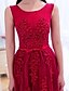 cheap Prom Dresses-A-Line Elegant Dress Prom Formal Evening Floor Length Sleeveless Illusion Neck Lace with Lace 2024